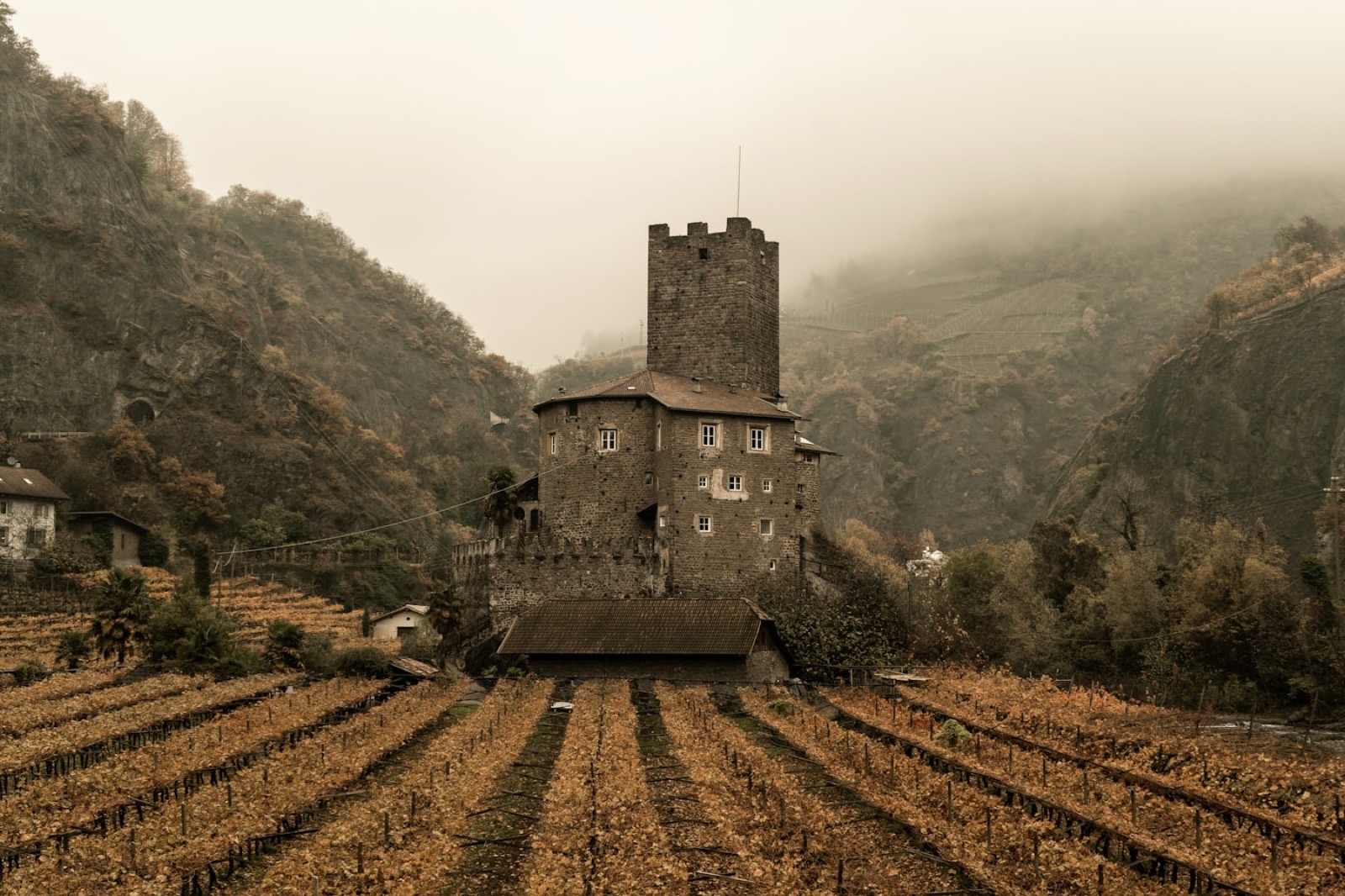 Still — Tenuta di Valgrande vineyard